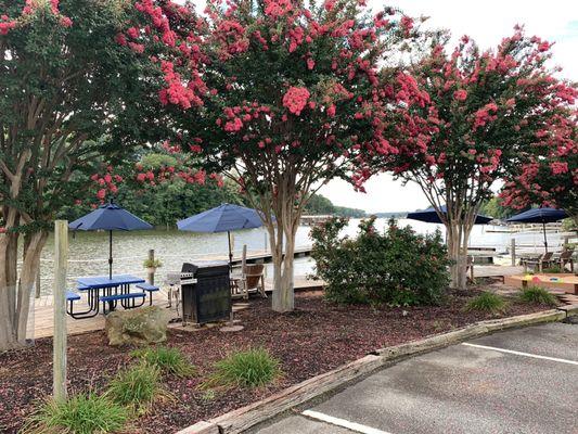 Scenic view of the lake with blooming crepe Myrtles