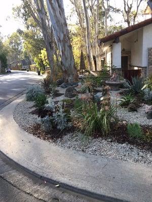 Front yard change from grass to drought tolerant landscaping, and they built a courtyard as well!!