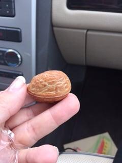 Chocolate walnut, filled with Nutella filling... delicious and unique!