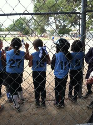 On the fence... true softball girls