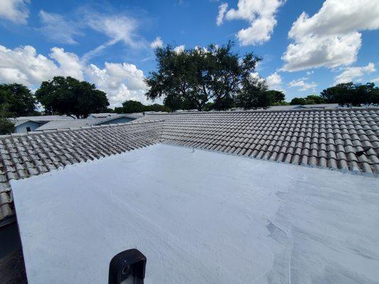 Roof coating