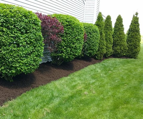 Turf Edging Service - Creates a defined edge between your mulch and grass.