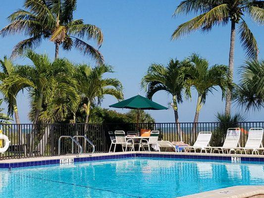 Pool and the Gulf