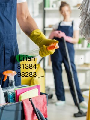 Mom & Daughter Cleaning Serv