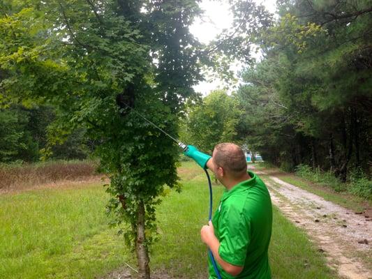 We were able to make this yard safe for kids to play in again by taking down this hornets nest.