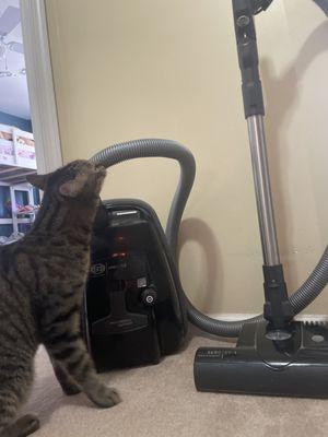 All About Vacuums