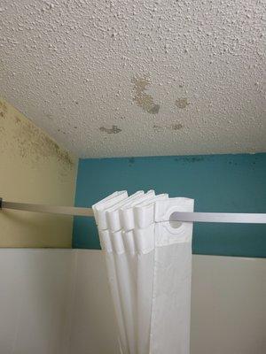 Mold in the bathroom