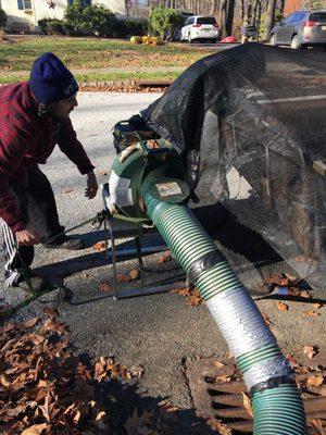 Curb side leaf removal