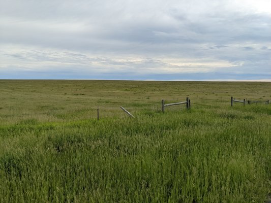 Fort Pierre National Grassland