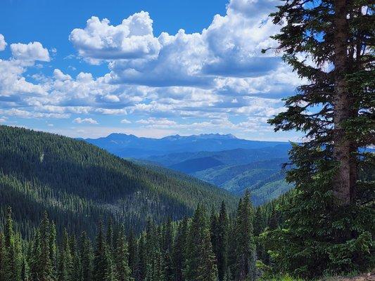 Mountain Views in the San Juan National Forest.