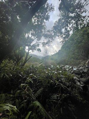 View from the trail