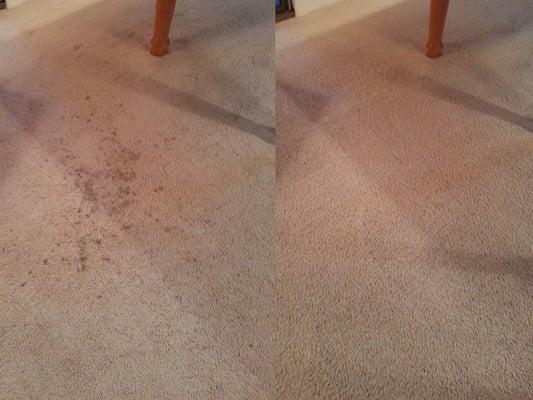 This is a 2-year old spaghetti stain no steam cleaner could get rid of... They called A-Quality and we got rid of it real quick!