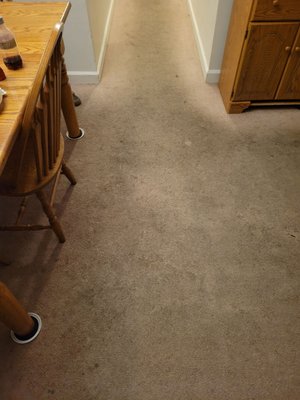 Nasty, dirty, stained carpet in hallway, dining and living room area!!