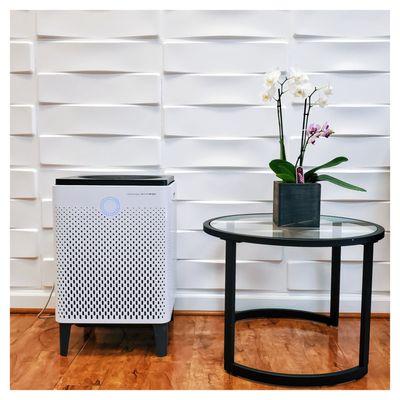 Air Filter - True HEPA filter reduces up to 99.97% of particles 0.3 microns in the air, including pollen, pollutants, and other allergens.