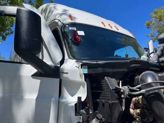 windshield replacement