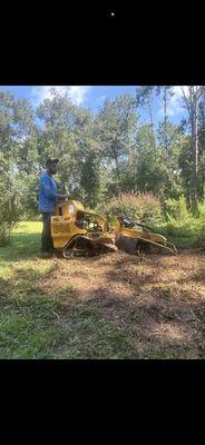 Stump Grinding