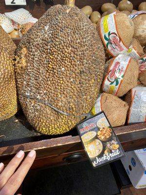 Kroger has Jackfruit. I prefer canned, it's much easier. These Jackfruits are huge and yields a lot of fruit.