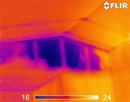 Thermal Image review