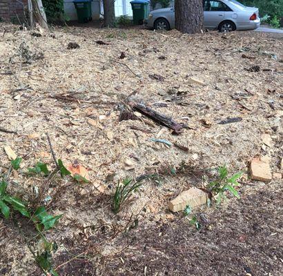 This is the tree debris left in my yard to create a wood chip landscape.