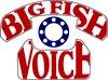 Connect with Big Fish Voice and save