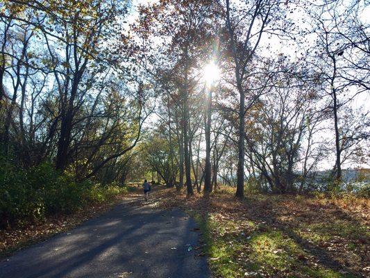 Trail along the river