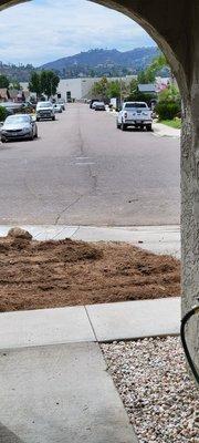 Gordy's Stump Grinding