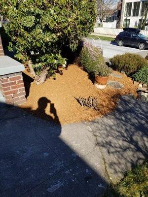 Putting bark to flower beds