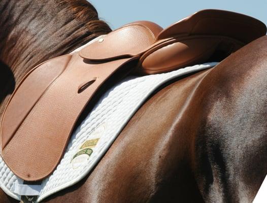 LEGACY Saddles