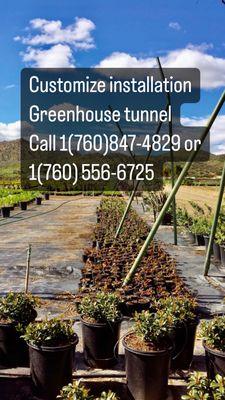 Greenhouse Tunnels