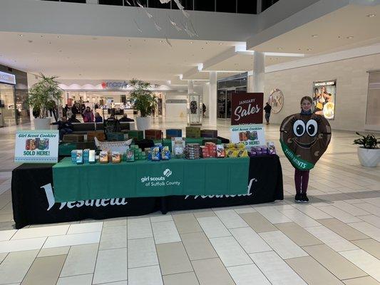 Selling all of your favorite Girl Scout Cookie flavors...