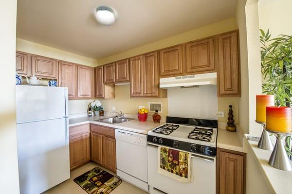 Sheridan Gunnison Apartments - Chicago, IL - Kitchen photo