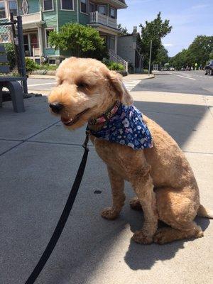 My girl's pretty summer do! JAMIE got ALL the knots out