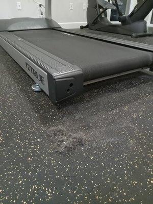 Here's the gym. Someone collected all the dust for them to clean it. Ignored for a while. A long and unnecessary one.