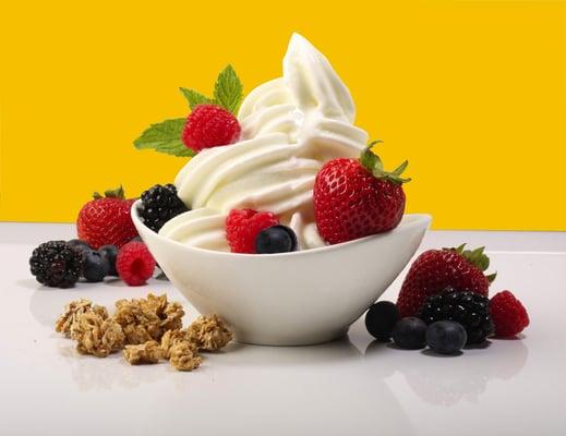 Natural Fat Free Frozen Yogurt. Enjoy with your favorite toppings