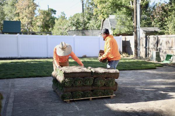 Sod Install