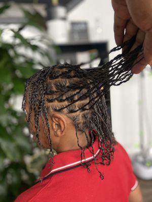 Starter locs (2strand)