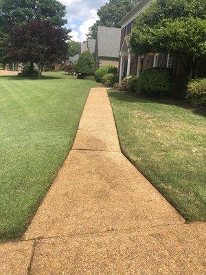 A After picture of a walkway cleaning !