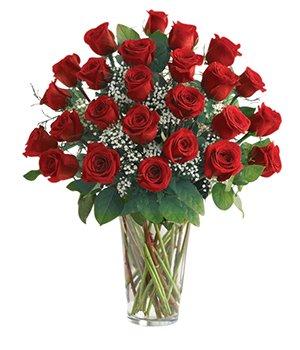 Classic 2 Dozen Roses