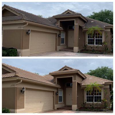 Roof cleaning