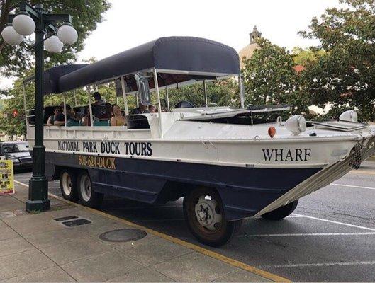 Best duck tours!