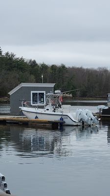 Gas   bait and ice   available on fuel dock .  For me a few steps