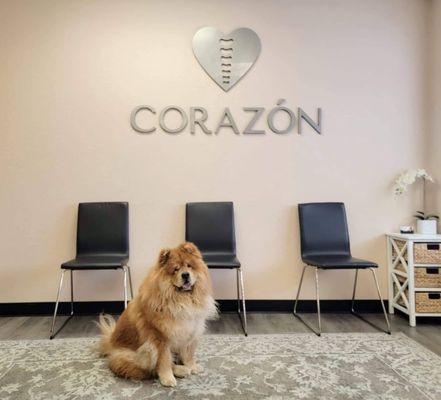 Corazon Chiropractic Clinic - Portland