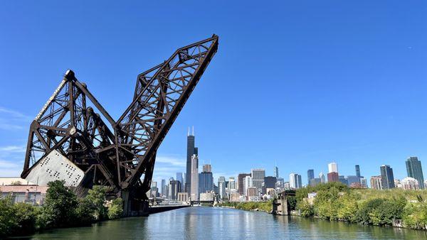 Great shot of the Sears tower taken by yours truly.