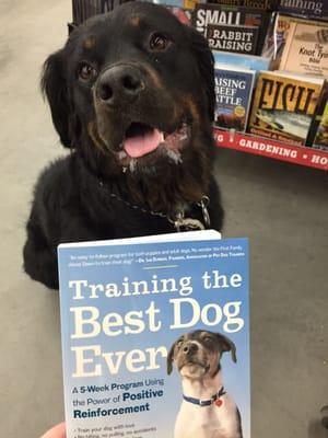 Odie declined this book. Said he likes going to our private training lessons instead. And no Rottie on the cover. ;)