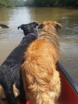 Enjoying the river!