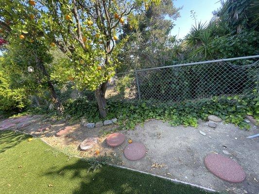 Martinez Gardening