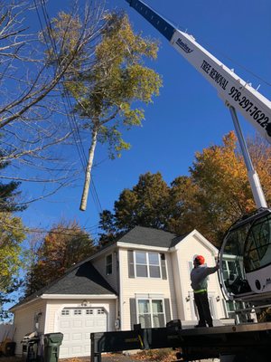 Removals for our client utilizing our 50ton Manitex crane.