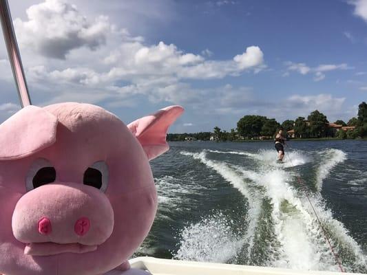 One of the owners enjoying his Sunday off of work with his children.  Or       "Piglets"