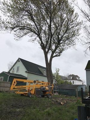 Trimming/ backyard bucket for tight spots