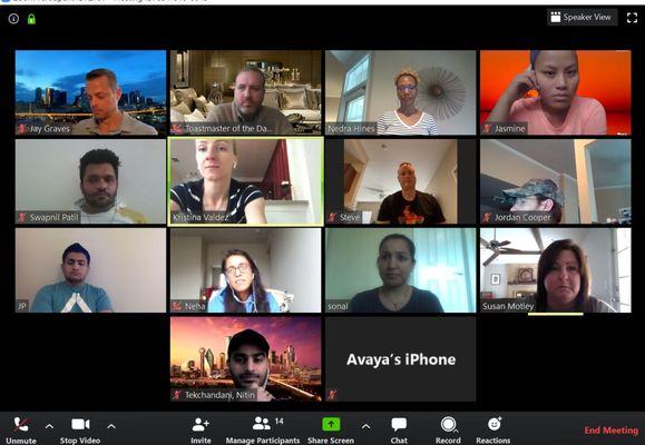 Online meetings during Covid19